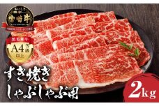【2025年9月発送】宮崎牛モモ すき焼き・しゃぶしゃぶ用 500g×4 合計2kg_M243-013-sep