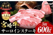【2025年9月発送】宮崎牛 サーロインステーキ 3枚 合計600g_M243-037-sep