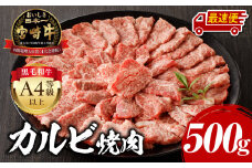 【最速便】宮崎牛 カルビ焼肉 500g_M243-004-2W
