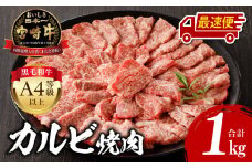 【最速便】宮崎牛 カルビ焼肉 500g×2 合計1kg_M243-010-2W