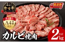 【最速便】宮崎牛 カルビ焼肉 500g×4 合計2kg_M243-011-2W