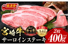 【最速便】宮崎牛 サーロインステーキ 2枚 合計400g_M243-006-2W