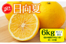 【訳あり】日向夏 6kg＋傷み補償(200g)つき サイズ混合_M249-005