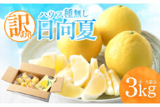 《2025年発送》【期間・数量限定】【訳あり】ハウス種無し日向夏　小～大混合3kg_M347-001