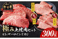 宮崎牛 極み上焼肉セット_M243-040