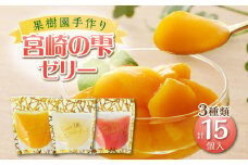 宮崎の雫ゼリー マンゴーゼリー65g 6個・日向夏ゼリー65g 6個・グァバゼリー65g 3個_M339-001