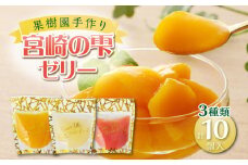 宮崎の雫ゼリー マンゴーゼリー65g 4個・日向夏ゼリー65g 4個・グァバゼリー65g 2個_M339-002