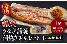 《丑の日までにお届け予定(7月20日～7月31日)》国産うなぎ蒲焼(特大サイズ)・蒲焼きざみセット_M069-017_01-U2