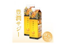 豊潤サジー 1000ml×2本セット サジージュース【紙パックタイプ】_M327-002