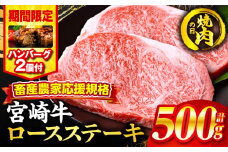 【焼肉の日(8月29日)までにお届け】【期間・数量限定】畜産農家応援！宮崎牛ロースステーキ250g×2・国産牛ハンバーグ100g×2個_M132-014-B2-NK