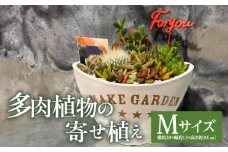 多肉植物の寄せ植え　Mサイズ_M238-008_02