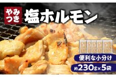 やみつき塩ホルモン_M345-001