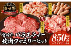 宮崎牛 バラエティー焼肉ファミリーセット_M243-038