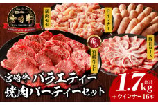 宮崎牛 バラエティー焼肉パーティーセット_M243-039