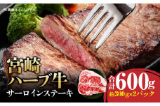 宮崎ハーブ牛サーロインステーキ 合計600g_M199-009