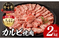 【2025年10月発送】宮崎牛 カルビ焼肉 500g×4 合計2kg_M243-011-oct
