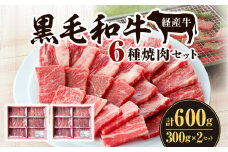 黒毛和牛（経産牛）6種焼肉セット300g × 2（計600g）_M132-078