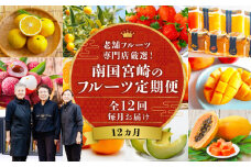 南国宮崎のフルーツ12ヶ月定期便 果物定期便 定期便 定期 旬のフルーツ 旬の果物 果物 フルーツ 旬 厳選 いちご 苺 きんかん 金柑 せとか 日向夏 ぽんかん 高岡文旦 マンゴー  メロン ライチ ジャム ライチ パパイヤ スイートスプリング 贈り物 贈答 ギフト ご褒美 グルメ お取り寄せ 宮崎県産 国産 宮崎グルメ 南国フルーツ 南国果物 宮崎県 宮崎市_M342-T001