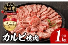 【2025年10月発送】宮崎牛 カルビ焼肉 500g×2 合計1kg_M243-010-oct