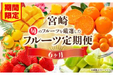 《2026年発送先行予約》【期間・数量限定】旬のフルーツ6ヶ月定期便vol.1_M348-T001