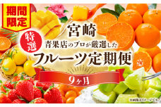 【期間・数量限定】特選！旬のフルーツ9ヶ月定期便vol.1_M348-T002