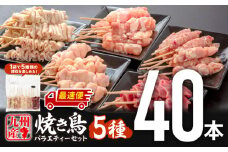 【最速便】九州産若鶏 焼き鳥5種(40本)バラエティーセット_M146-015-2W