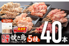 【最速便】九州産若鶏 焼き鳥5種(40本)バラエティーセット_M146-015-2W