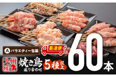 【最速便】九州産若鶏 焼き鳥5種(60本)バラエティーセット_M146-016-2W