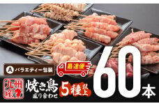 【最速便】九州産若鶏 焼き鳥5種(60本)バラエティーセット_M146-016-2W