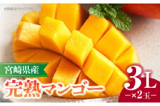 《2025年発送》宮崎県産完熟マンゴー 3L×2玉_M320-006