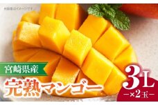 《2026年発送先行予約》【数量・期間限定】宮崎県産完熟マンゴー 3L×2玉_M320-006