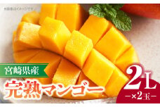《2025年発送》宮崎県産完熟マンゴー 2L×2玉_M320-007