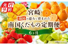 《2026年発送先行予約》南国くだもの6ヶ月定期便  フルーツ定期便 果物定期便 定期便 定期 旬のフルーツ 旬の果物 果物 くだもの フルーツ デザート 旬 厳選 いちご イチゴ 苺 柑橘 柑橘系 マンゴー 宮崎マンゴー メロン みかん ミカン 不知火 金柑 きんかん 日向夏 期間限定 贈り物 ギフト 贈答 グルメ 人気 おすすめ オススメ 宮崎県 宮崎市 宮崎 _M348-T003