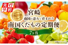 《2026年発送先行予約》プレミアム南国くだもの7ヶ月定期便_M348-T007