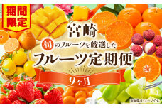【期間・数量限定】旬のフルーツ9ヶ月定期便vol.1_M348-T008