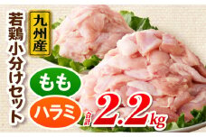九州産若どり2.2kg小分けセット_M333-003_01