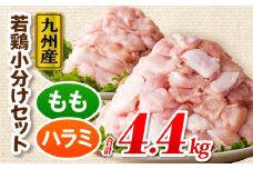 九州産若どり4.4kg小分けセット_M333-003_02