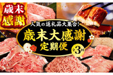 【期間・数量限定】☆人気返礼品集めました☆歳末大感謝定期便3ヶ月コース_M132-T005