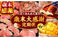 【期間・数量限定】＼人気返礼品だらけ／歳末大感謝定期便6ヶ月Bコース_M132-T007
