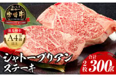 宮崎牛 シャトーブリアンステーキ 2枚 合計300ｇ_M243-028