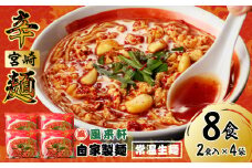 風来軒 宮崎辛麺「中野屋」（常温生麺）2食入×4袋_M285-002-02