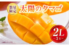 《2025年発送》【期間・数量限定】太陽のタマゴ 2Lサイズ 3玉_M354-001-01