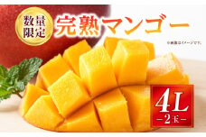 《2025年発送》【期間・数量限定】完熟マンゴー 4Lサイズ 2玉_M354-002-04