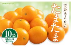 【期間・数量限定】完熟きんかん「たまたま」 10袋セット_M344-006