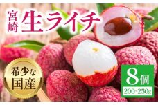 《2026年発送先行予約》【数量・期間限定】宮崎生ライチ_M342-002