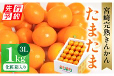 【先行予約】【期間・数量限定】宮崎完熟きんかん たまたま_M342-004