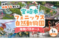 宮崎市フェニックス自然動物園年間パスポート（小人）_M353-004-01