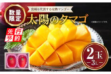 《2025年発送先行予約》【期間・数量限定】太陽のタマゴ3L　2玉_M275-012