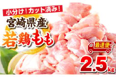【最速便】宮崎県産若鶏 もも肉 2.5kg（250g×10パック）_M146-008_01-2W