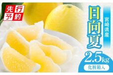 《2026年発送先行予約》【期間・数量限定】宮崎県産日向夏2.5kg　化粧箱入り_M359-005